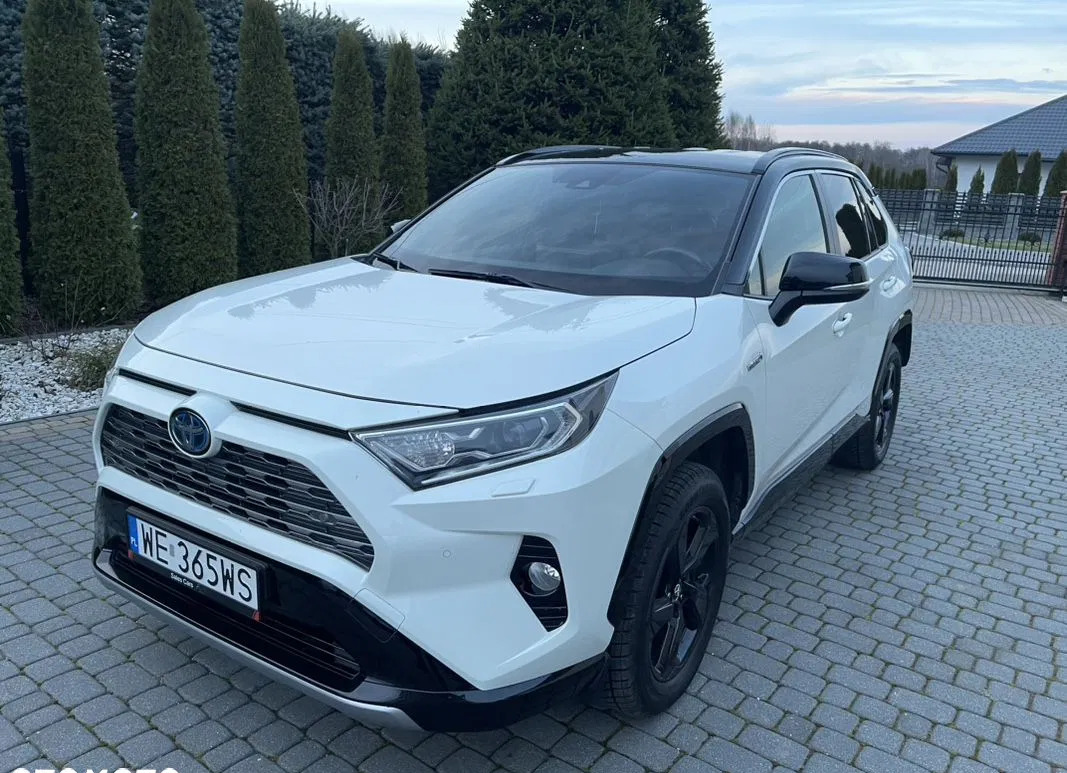 samochody osobowe Toyota RAV4 cena 144900 przebieg: 84000, rok produkcji 2019 z Pajęczno